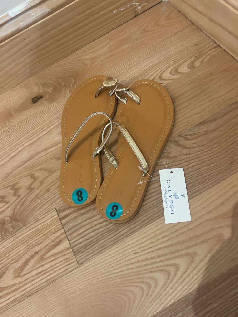 Calypso Strap Golden Seashell Flip Flop | 8M NWT